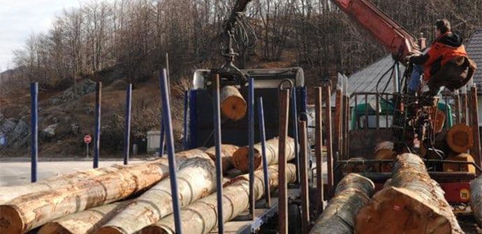 Zaustavljen katastrofalni kolonijalni trend, izvoz trupaca manji 39 puta Zaustavljen katastrofalni kolonijalni trend, izvoz trupaca manji 39 puta