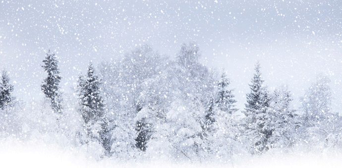 54 mrtvih u Evropi od hladnoće 54 mrtvih u Evropi od hladnoće