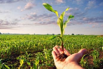 Dnevnik aktivnosti u poljoprivredi: Šta treba uraditi za bolje prinose Dnevnik aktivnosti u poljoprivredi: Šta treba uraditi za bolje prinose