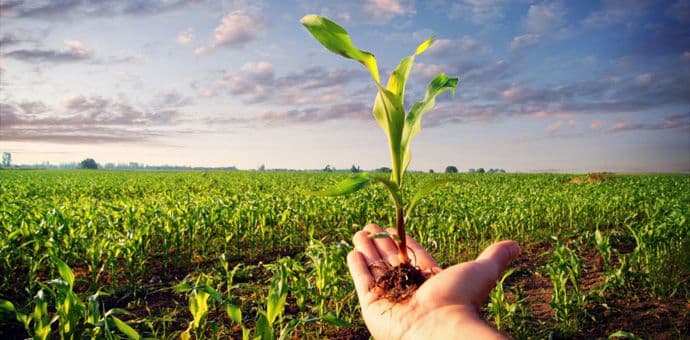 Javni poziv za dodjelu podrške investicijama u preradu na gazdinstvima Javni poziv za dodjelu podrške investicijama u preradu na gazdinstvima