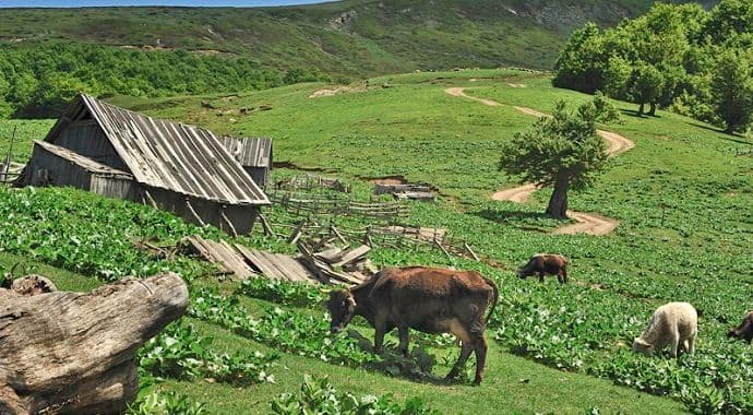 Javni poziv za dodjelu podrške investicijama u adaptaciju planinskih katuna Javni poziv za dodjelu podrške investicijama u adaptaciju planinskih katuna