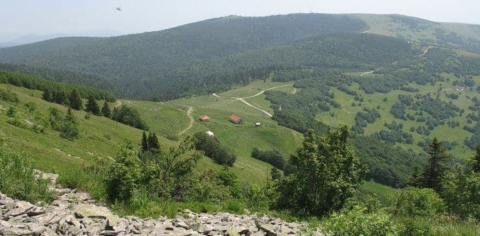 Goranovića traži 150 ljudi Goranovića traži 150 ljudi