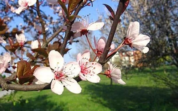 Prvi dani proljeća neuobičajeno topli, a onda zahlađenje i snijeg Prvi dani proljeća neuobičajeno topli, a onda zahlađenje i snijeg