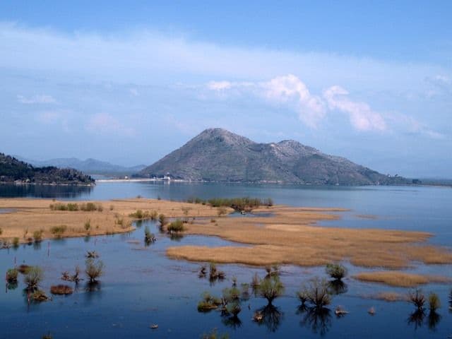 Očuvati riblji fond NP Skadarsko jezero u vrijeme zabrana Očuvati riblji fond NP Skadarsko jezero u vrijeme zabrana