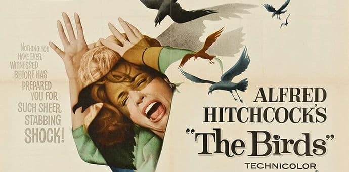 Krilata zagonetka 55 godina kasnije Krilata zagonetka 55 godina kasnije