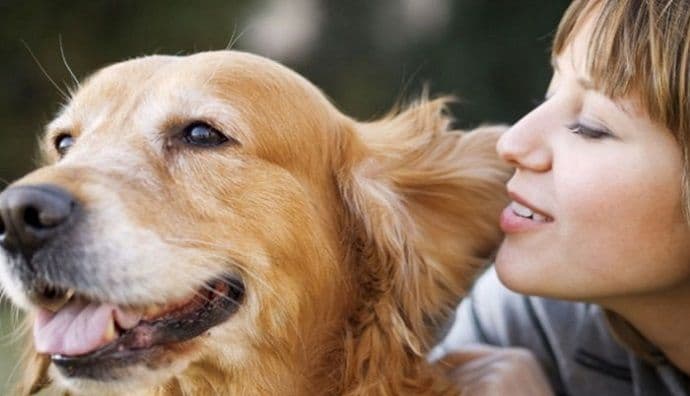 Ljudi koji razgovaraju sa životinjama su inteligentniji Ljudi koji razgovaraju sa životinjama su inteligentniji