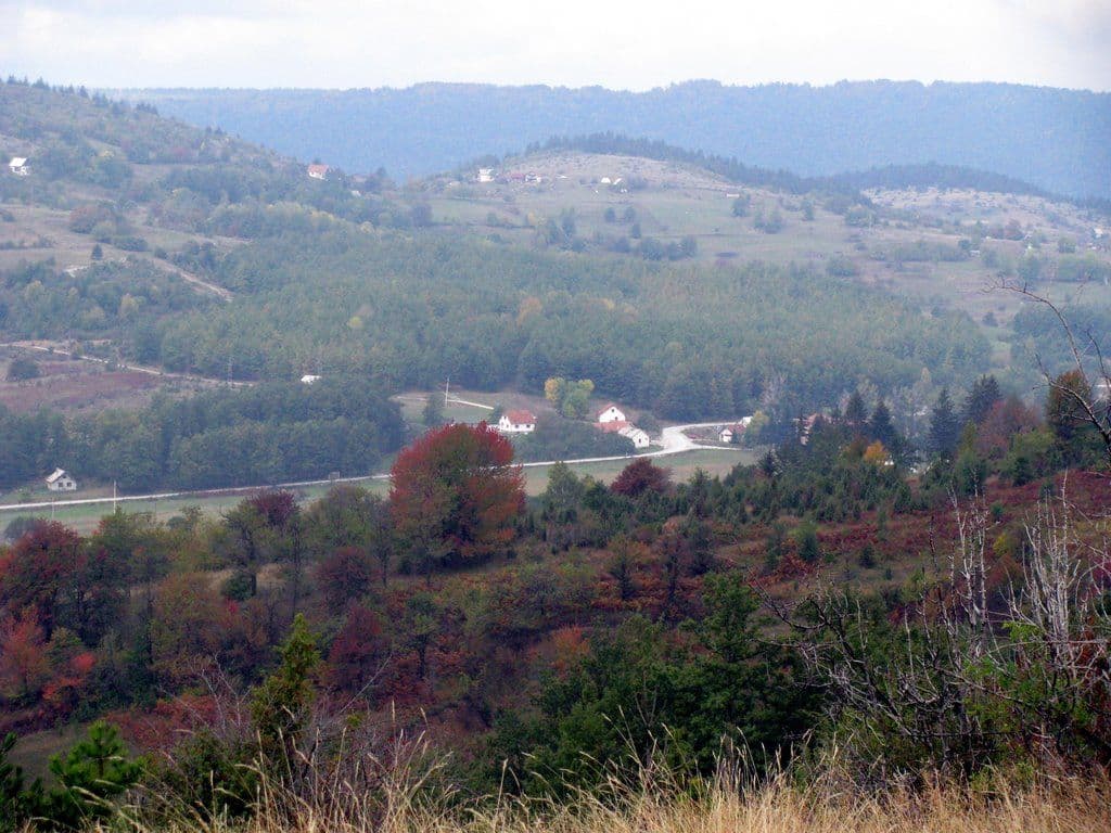 Pronađeno tijelo nestale Cvetane Knežević Pronađeno tijelo nestale Cvetane Knežević
