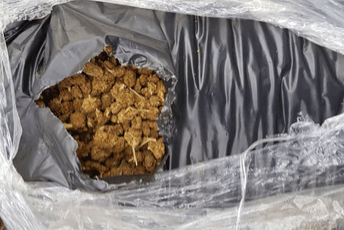 Policija pronašla 23 kilograma skanka na Plavnici Policija pronašla 23 kilograma skanka na Plavnici