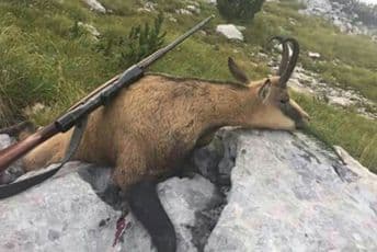 CZIP: Ukoliko Stijović nije odnio ministarstvo sa sobom, ta institucija najodgovornija je za bahaćenje naoružanih po prirodi Ilustracija