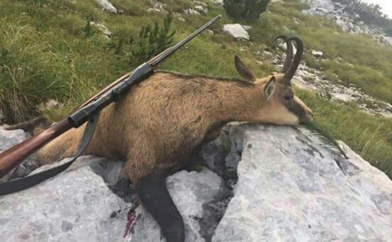 Mojkovčani pali zbog lova na divojarca Mojkovčani pali zbog lova na divojarca