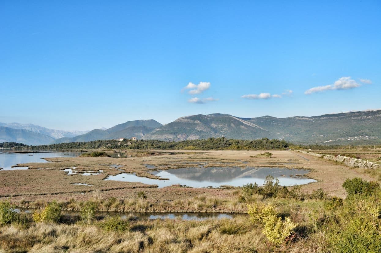Očuvajmo Zemlju čuvanjem biološke raznolikosti Očuvajmo Zemlju čuvanjem biološke raznolikosti