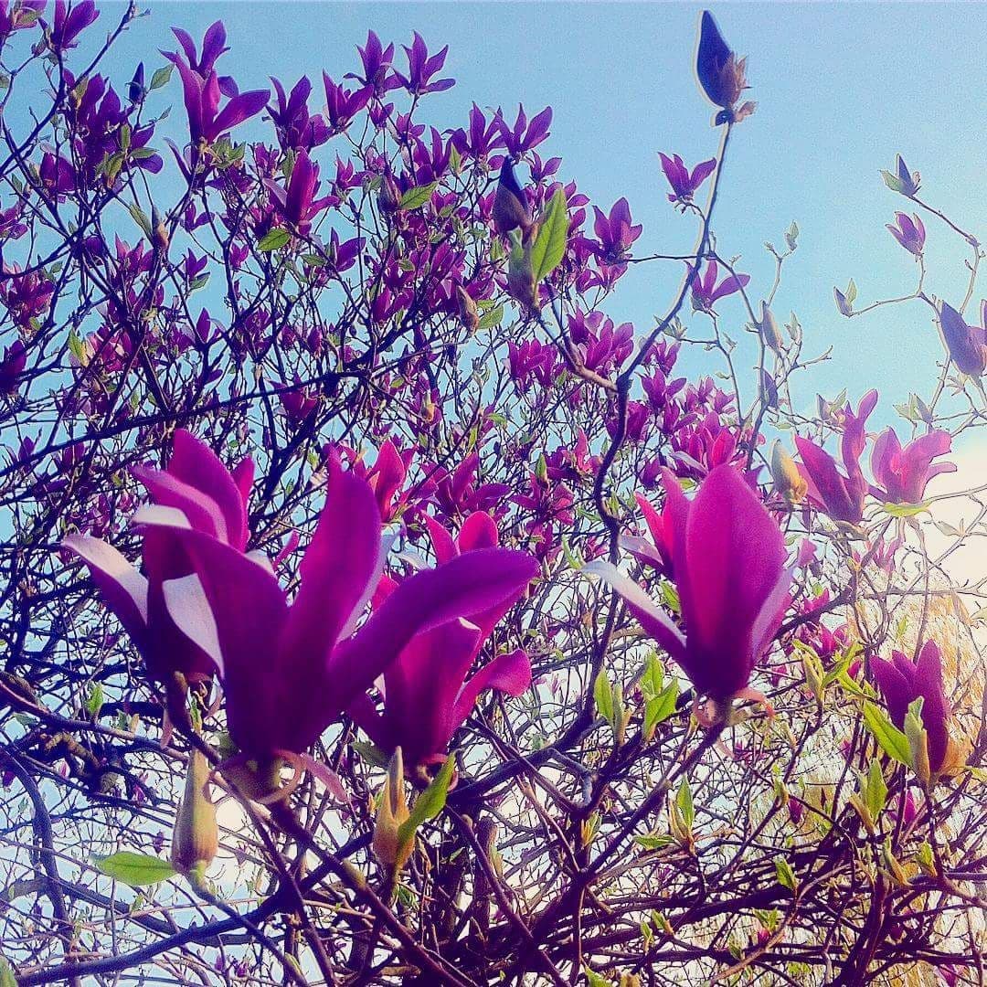 Sjutra pretežno sunčano, moguć pljusak popodne Sjutra pretežno sunčano, moguć pljusak popodne