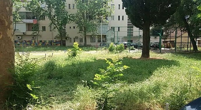 Jak otrov prosut po igralištu, otrovan vlasnički pas Jak otrov prosut po igralištu, otrovan vlasnički pas