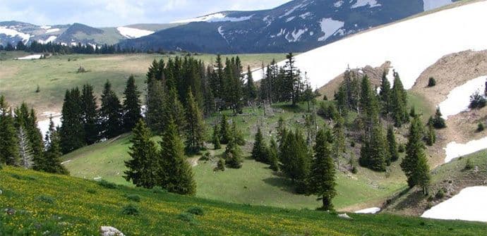Australijanci se povukli, Švajcarci sada traže blago na Bjelasici Australijanci se povukli, Švajcarci sada traže blago na Bjelasici