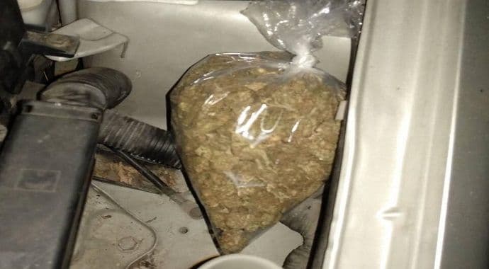 Pronađena marihuna, dva lica lišena slobode Pronađena marihuna, dva lica lišena slobode