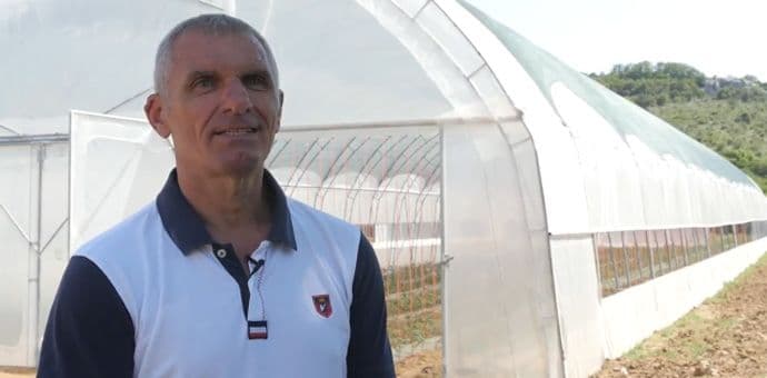 Stupavski: Počela plastenička proizvodnja u Šaskom polju Stupavski: Počela plastenička proizvodnja u Šaskom polju