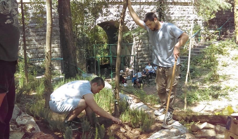 Zamirisali smilje i ruzmarin Zamirisali smilje i ruzmarin
