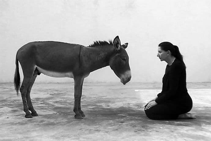 Sat vremena gleda u magarca, Srbija joj za to platila 80.000 eura Sat vremena gleda u magarca, Srbija joj za to platila 80.000 eura