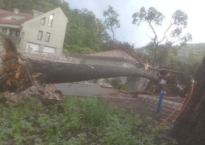 Oluja poharala Herceg Novi i okolinu, dvije osobe povrijeđene (FOTO) Oluja poharala Herceg Novi i okolinu, dvije osobe povrijeđene (FOTO)