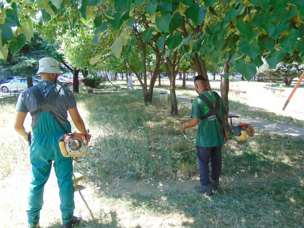Podgorica: Ekipe gradskog Zelenila na terenu Podgorica: Ekipe gradskog Zelenila na terenu