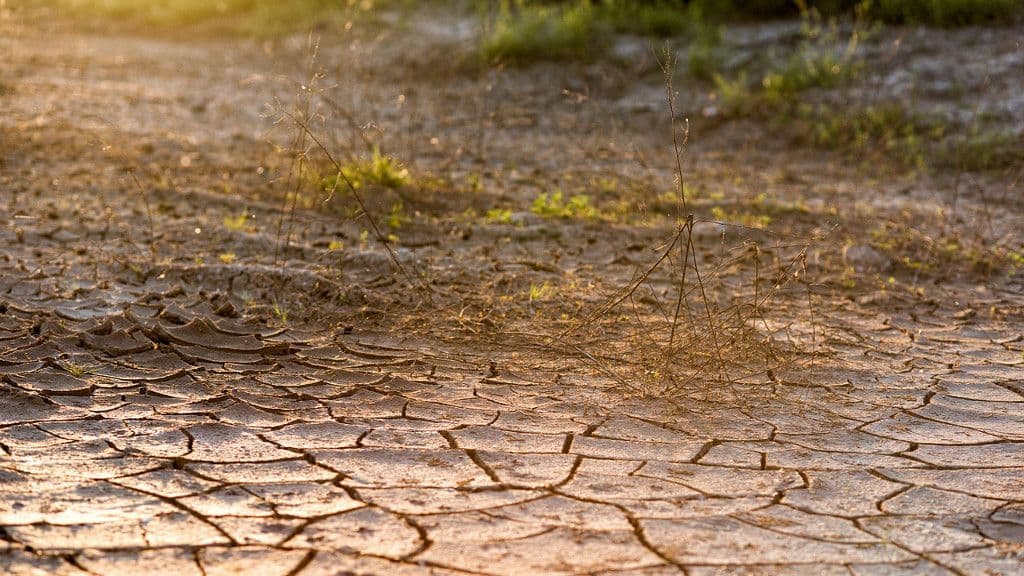Temperature preko 50 stepeni, duža ljeta i rekonfiguracija terena Temperature preko 50 stepeni, duža ljeta i rekonfiguracija terena