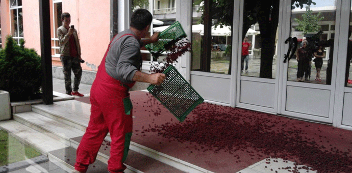 Prosuli maline ispred zgrade Opštine Bijelo Polje Foto: RTCG
