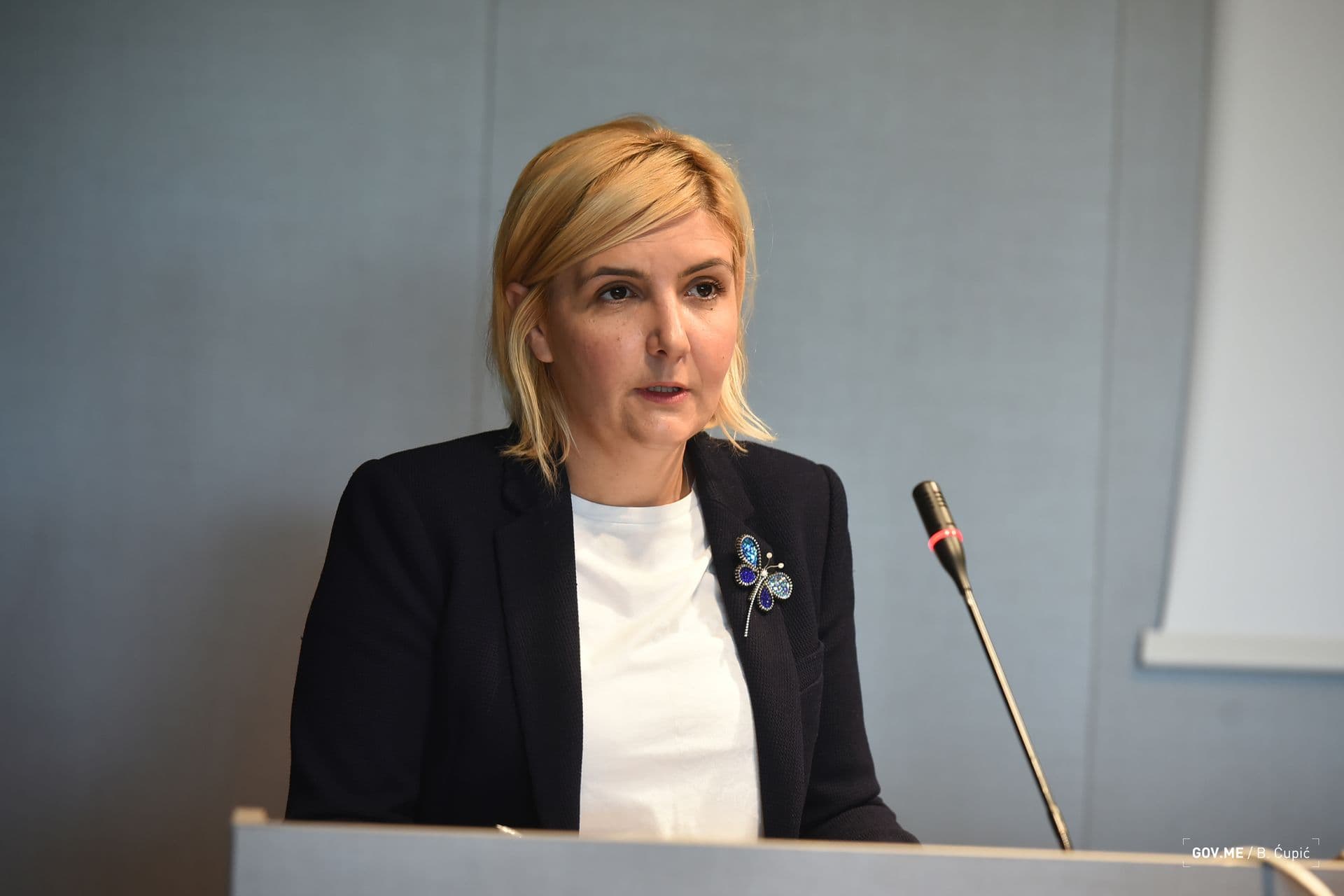 Digitalna transformacija velika prilika za Crnu Goru Digitalna transformacija velika prilika za Crnu Goru