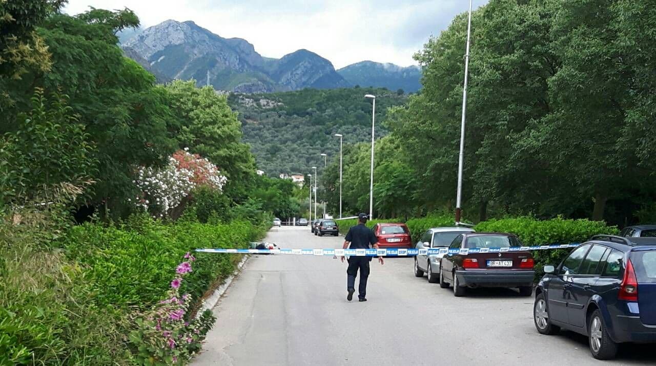 Ko je Vaso Delibašić? Ko je Vaso Delibašić?