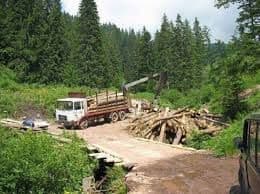 Obilazak stovarišta u šumi, pilot projekat za novi model korišćenja šuma Obilazak stovarišta u šumi, pilot projekat za novi model korišćenja šuma