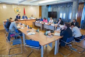 Drljević učestvovao u radu sjednica Odbora za evropske integracije