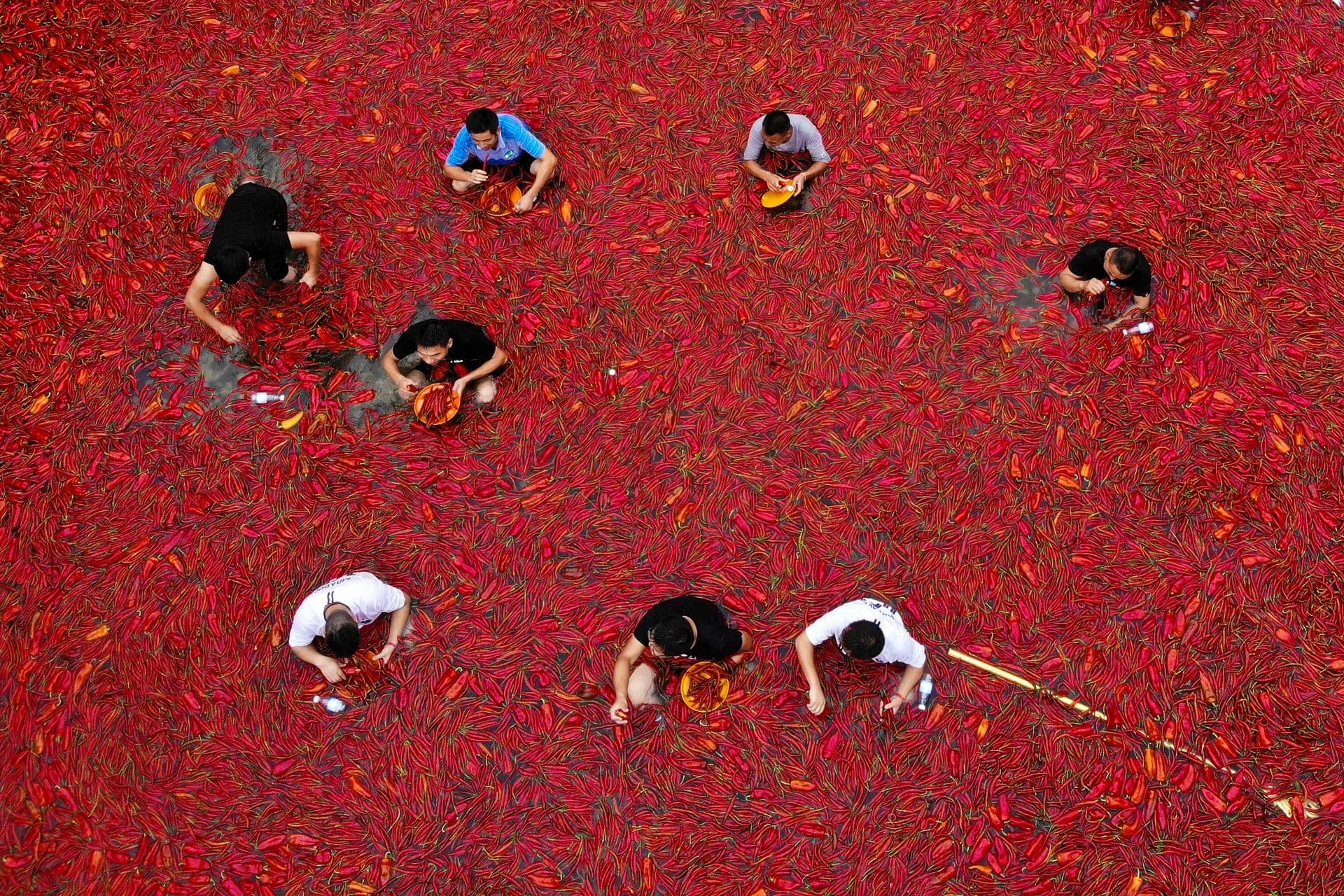 Pojeo 50 tabasko papričica za 68 sekundi Foto: Beta/AP