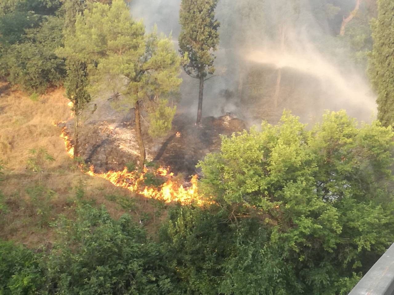 Požar kod visećeg mosta u Podgorici (VIDEO) Požar kod visećeg mosta u Podgorici (VIDEO)