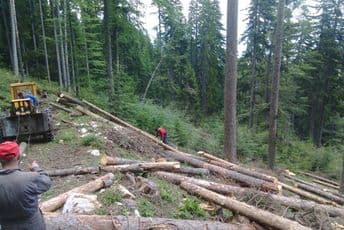 Šumar oštetio državu za preko 10.000 eura Ilustracija