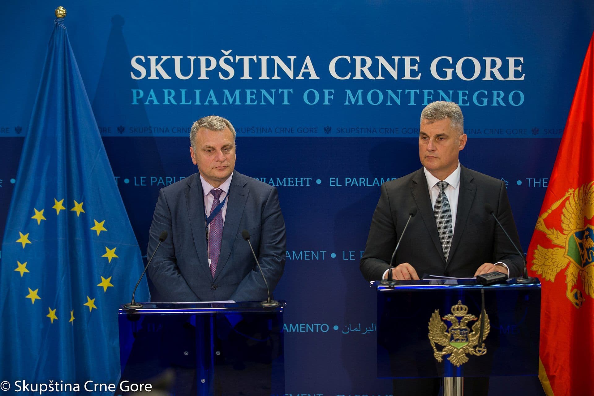 Radna grupa tokom jesenjeg zasjedanja Foto: Skupština Crne Gore