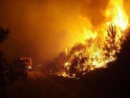 Raste broj poginulih, ima i nestalih turista, Crna Gora nudi pomoć Raste broj poginulih, ima i nestalih turista, Crna Gora nudi pomoć