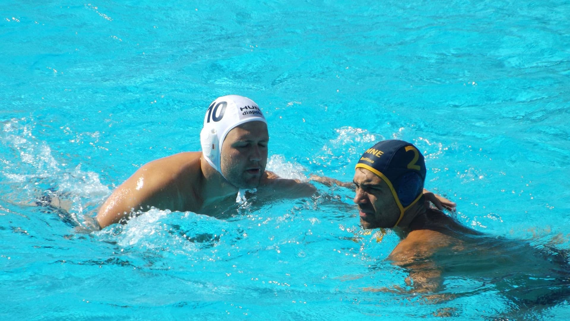 Ajkule potopile Mađare! Ajkule potopile Mađare!