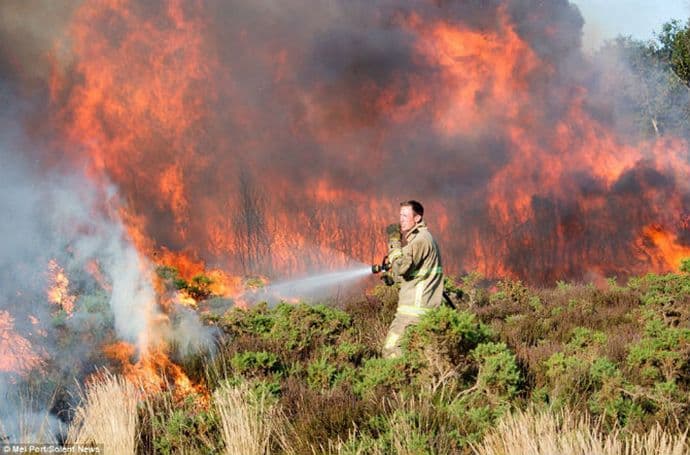 Svijet lani izgubio 16 miliona hektara šuma Svijet lani izgubio 16 miliona hektara šuma