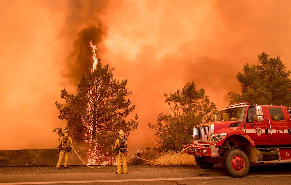 U Kaliforniji uništeno 115.000 hektara šuma Foto: AFP/JOSH EDELSON
