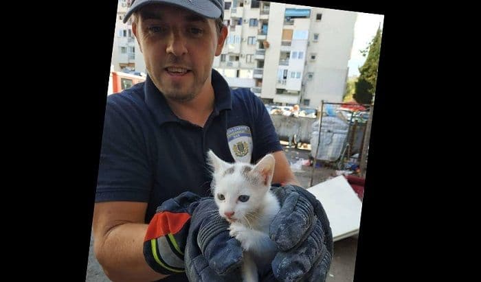 Barski spasioci izvukli maleno mače iz cijevi Barski spasioci izvukli maleno mače iz cijevi