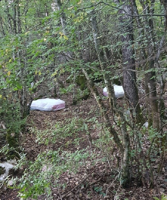 Tuzi: Zaplijenjen 51 kilogram marihuane Tuzi: Zaplijenjen 51 kilogram marihuane