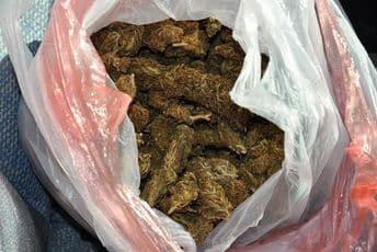 Iznajmili halu pa napravili najveću laboratoriju marihuane u RS Iznajmili halu pa napravili najveću laboratoriju marihuane u RS