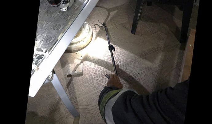 Poskok zalutao u kuću porodice iz Bara Poskok zalutao u kuću porodice iz Bara