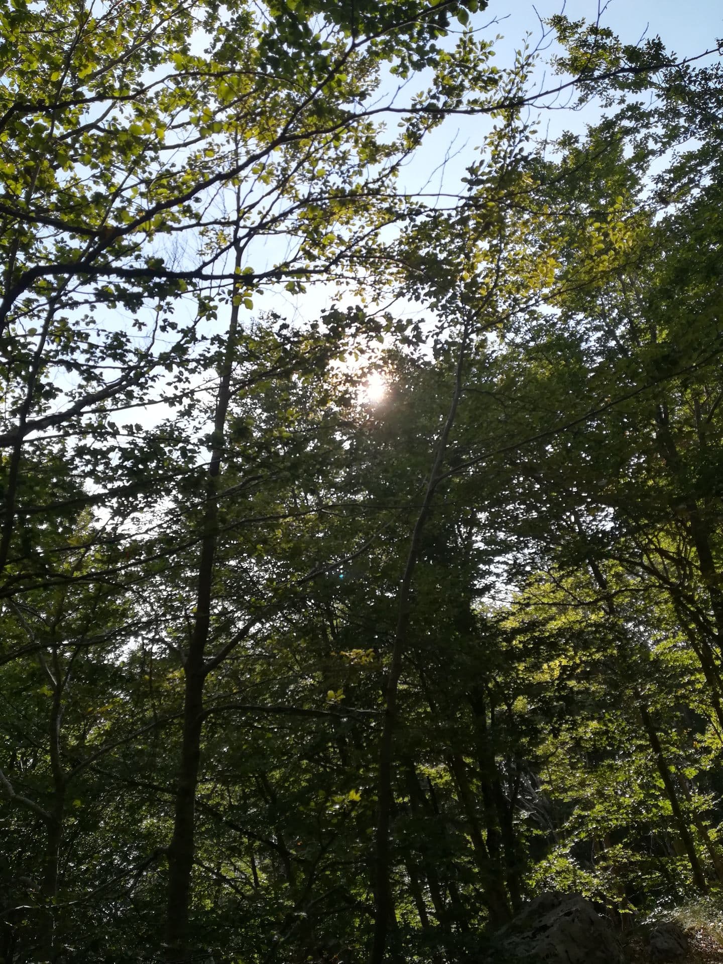 Sjutra na sjeveru kiša Sjutra na sjeveru kiša