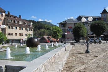 U Kolašinu otkrivena rijetka bolest-lajšmanioza U Kolašinu otkrivena rijetka bolest-lajšmanioza