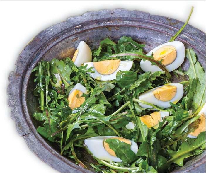 Salata od mlade žućenice i jaja Salata od mlade žućenice i jaja