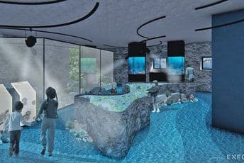 Za potrebe prvog javnog akvarijuma Institut će otkupljivati ribu Za potrebe prvog javnog akvarijuma Institut će otkupljivati ribu