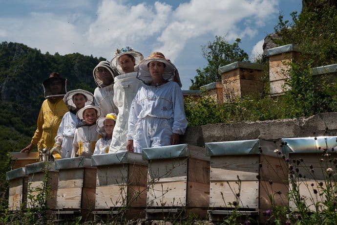 Ljubav prema pčelarstvu prerasla u moderan biznis Ljubav prema pčelarstvu prerasla u moderan biznis