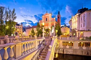 U Sloveniji se pojavio ptičji grip: Zemlja proglašena visokorizičnom U Sloveniji se pojavio ptičji grip: Zemlja proglašena visokorizičnom