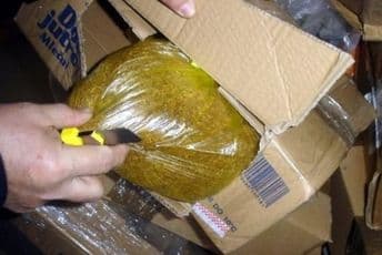 Na konjima prenosio 221 kg duvana Na konjima prenosio 221 kg duvana