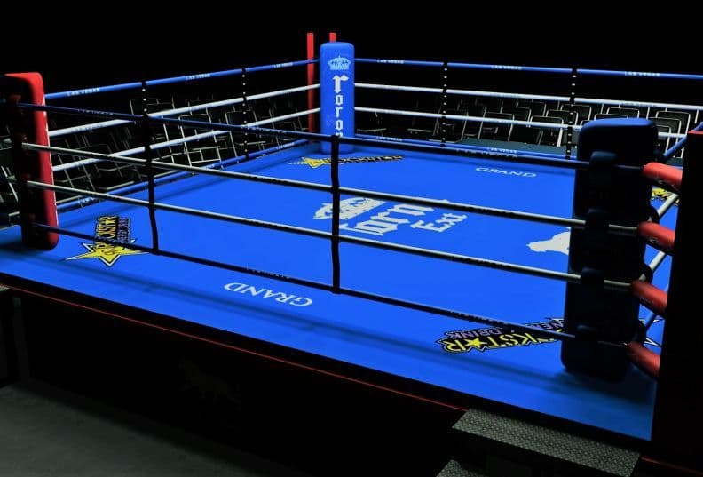 Porazi Vujovića i Mugoše Ilustracija